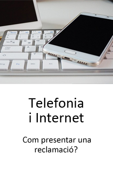 Telefonia i internet