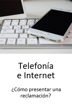 Telefonia i internet