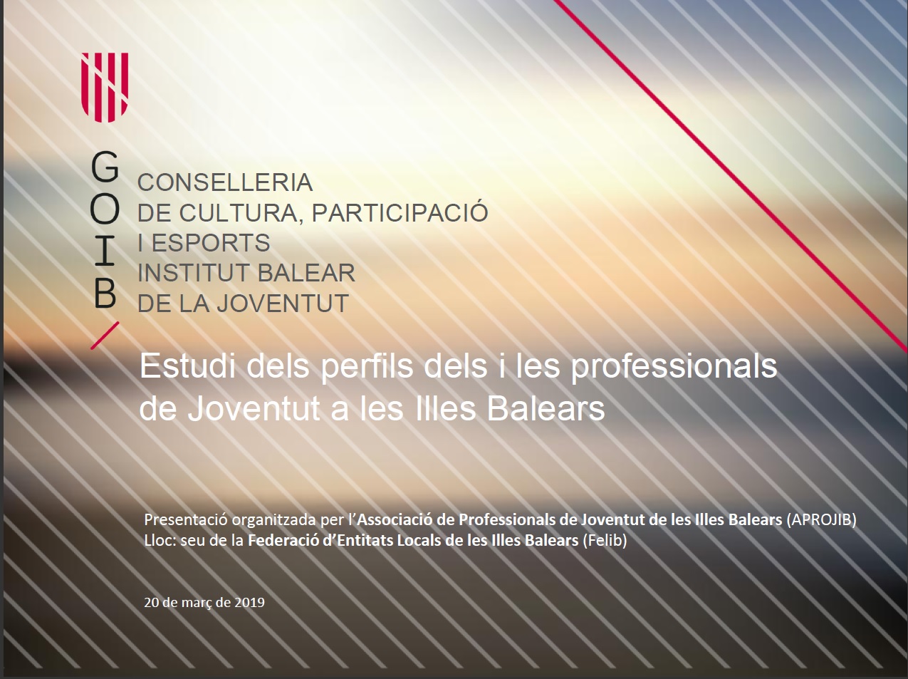 Presentació de l'estudi dels Perfils dels i les professionals de Joventut a les Illes Balears