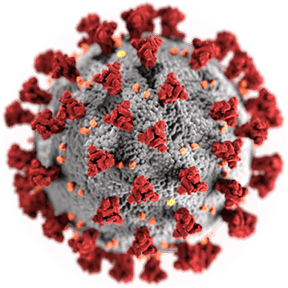 Coronavirus