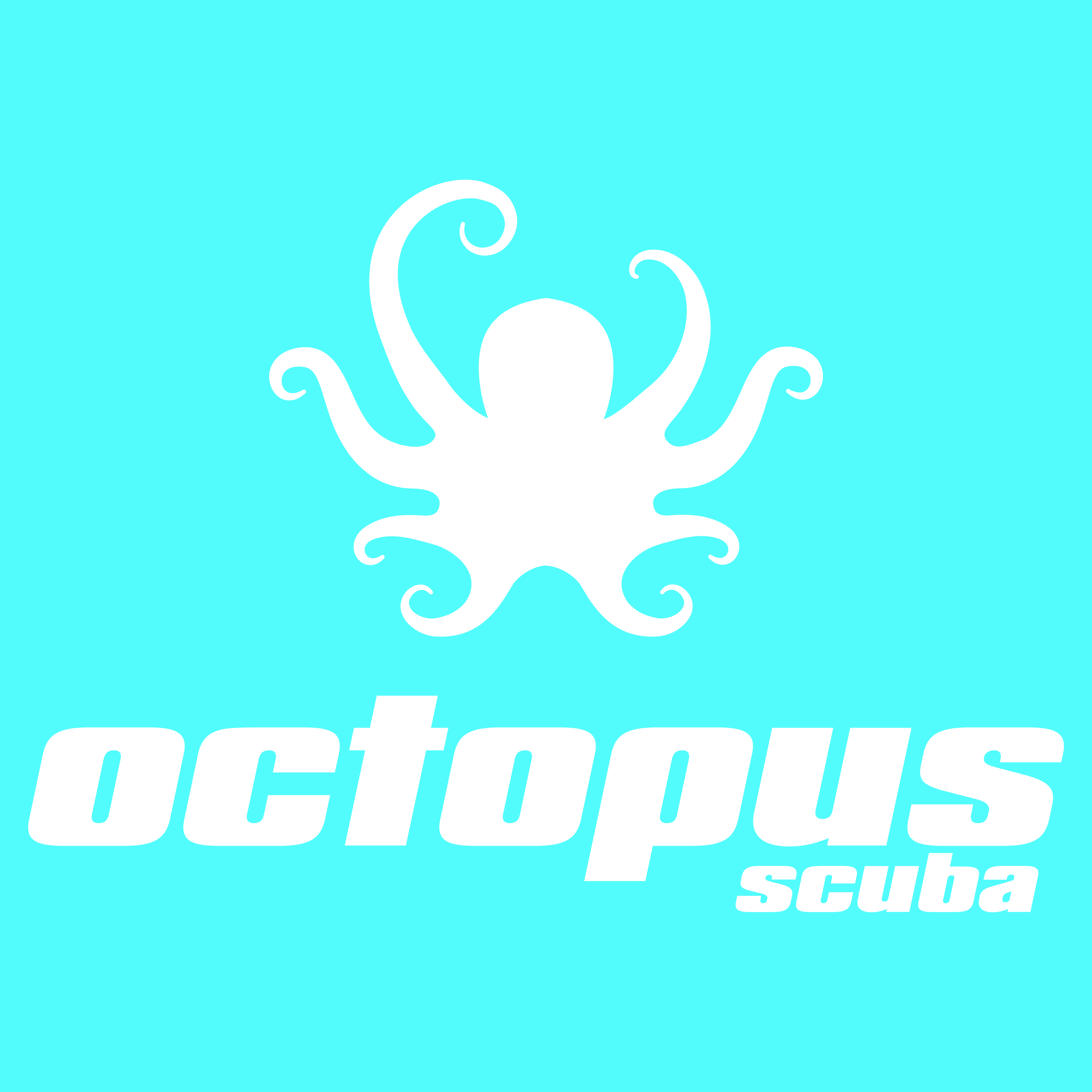 desc_Logo Octopus.jpg