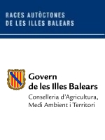Races autòctones de les Illes Balears - Imatge de capçalera 02
