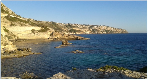 Reserva Marina de la Bahía de Palma