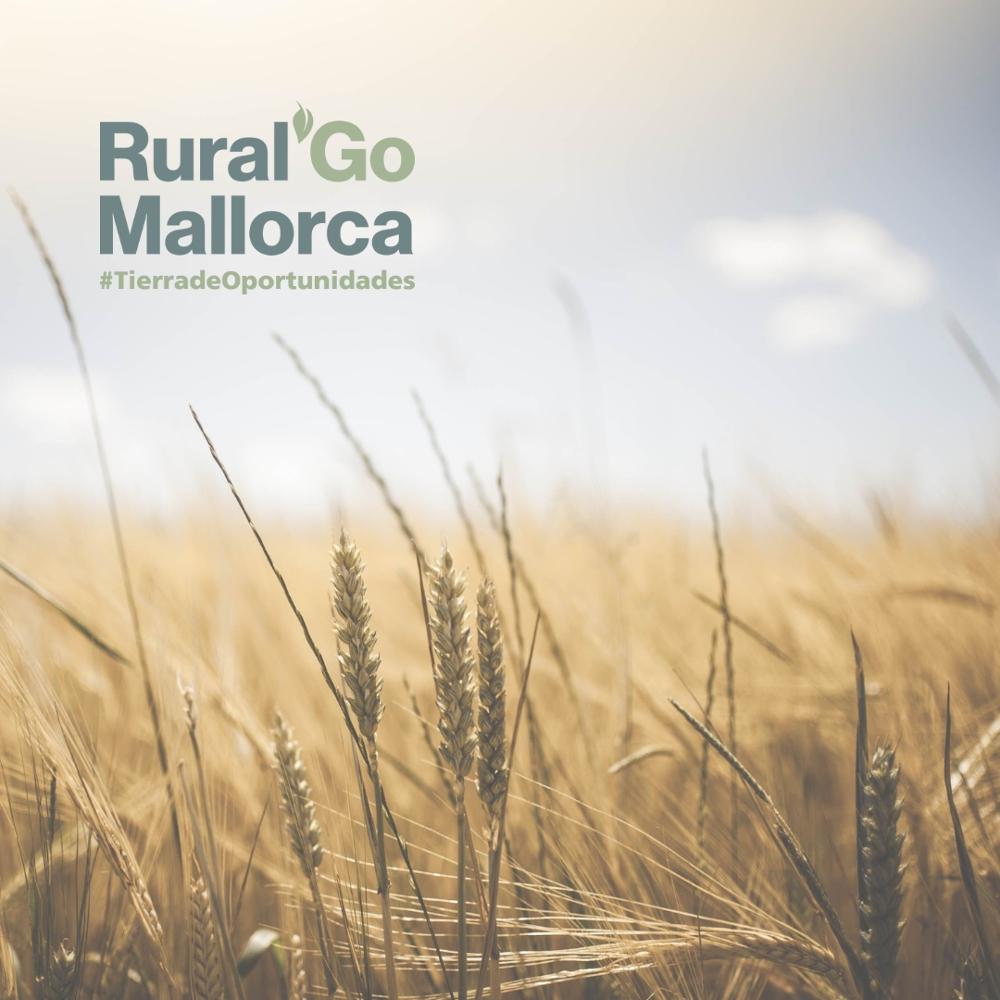Imagen del artículo Mallorca Rural organiza los nuevos premios Rural'GO para impulsar la consolidación de empresas en el ámbito rural