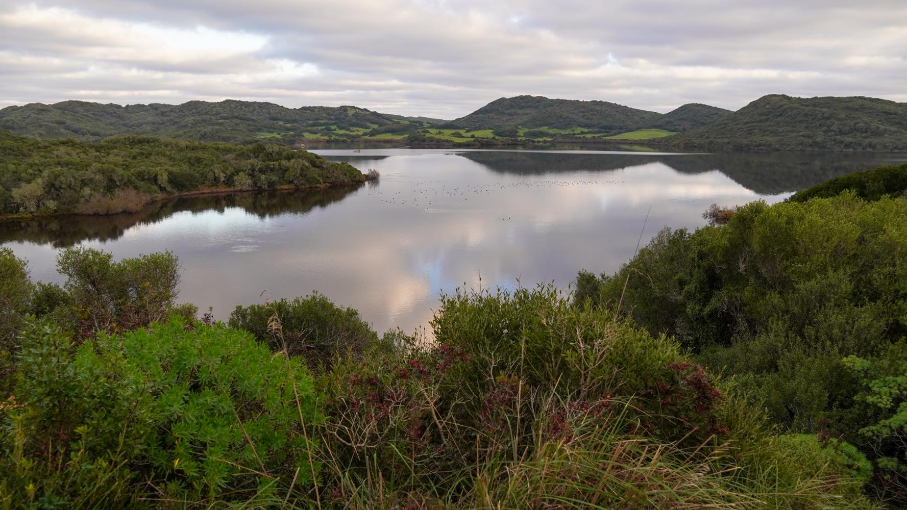 Imagen del artículo El Govern reivindica la importancia de los espacios naturales protegidos de las Illes Balears en el Día Europeo de los Parques Naturales