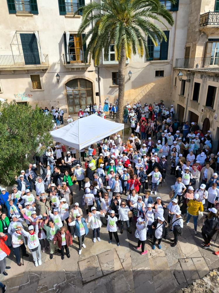 Imagen del artículo Más de 500 personas caminan en la Ruta de las Rutas Saludables, organizada por Salud con motivo del Día de las Illes Balears