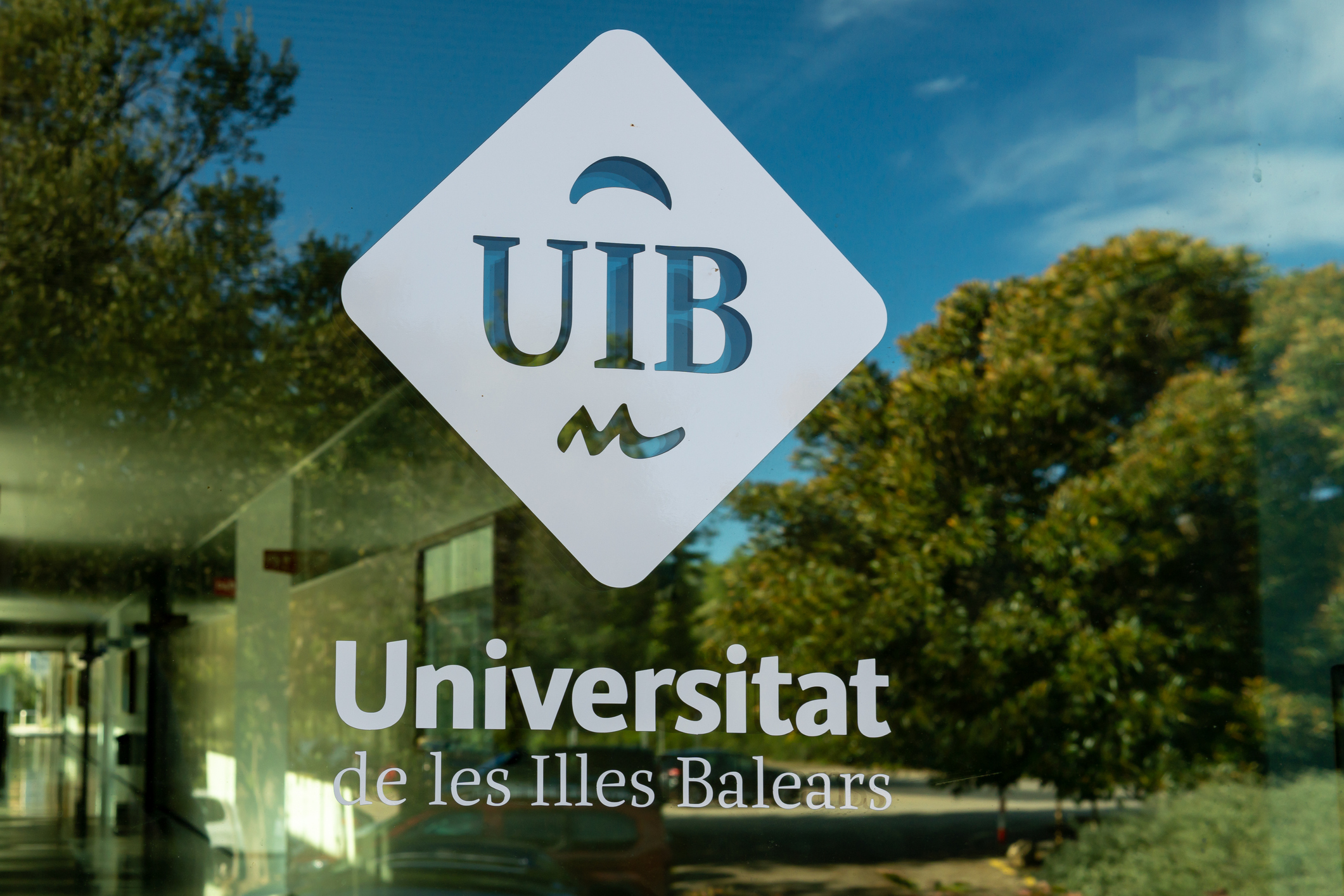 Imagen del artículo La conselleria transferirá 1.321.806 euros a la UIB para realizar cursos de microcredenciales universitariass entre los años 2024 i 2026