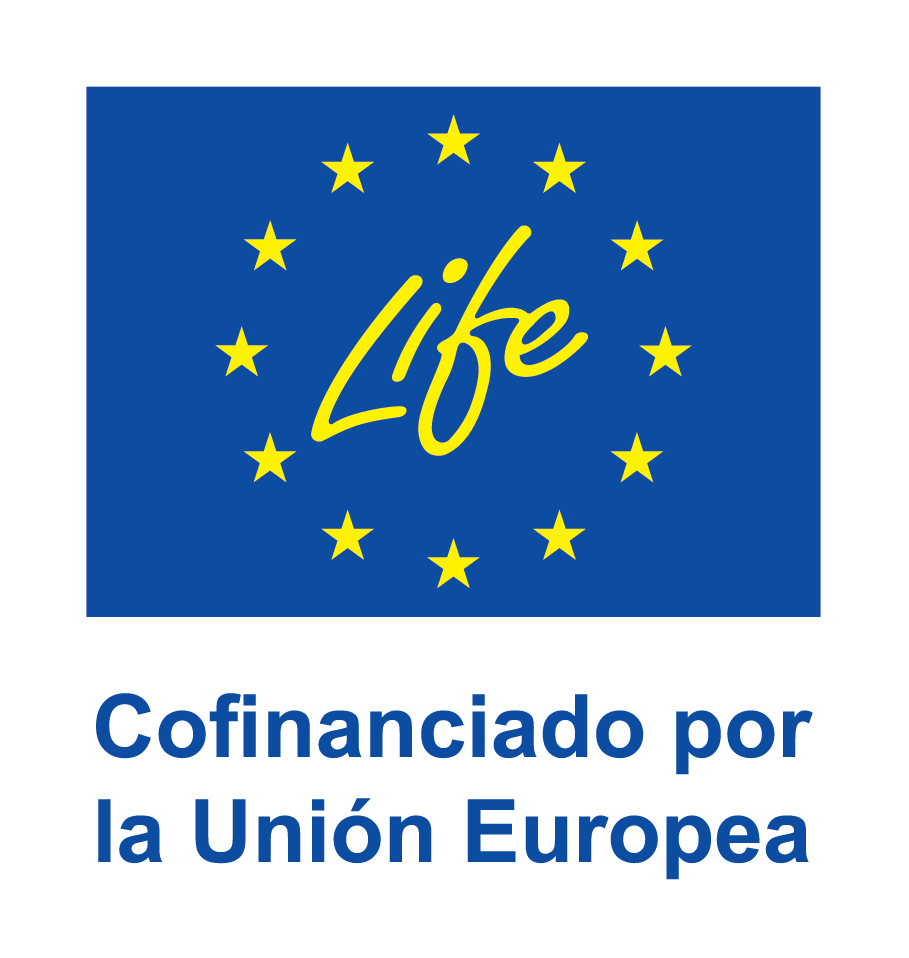 ES_V_Cofinanciado_por_la_Unio¦un_Europea_POS.png
