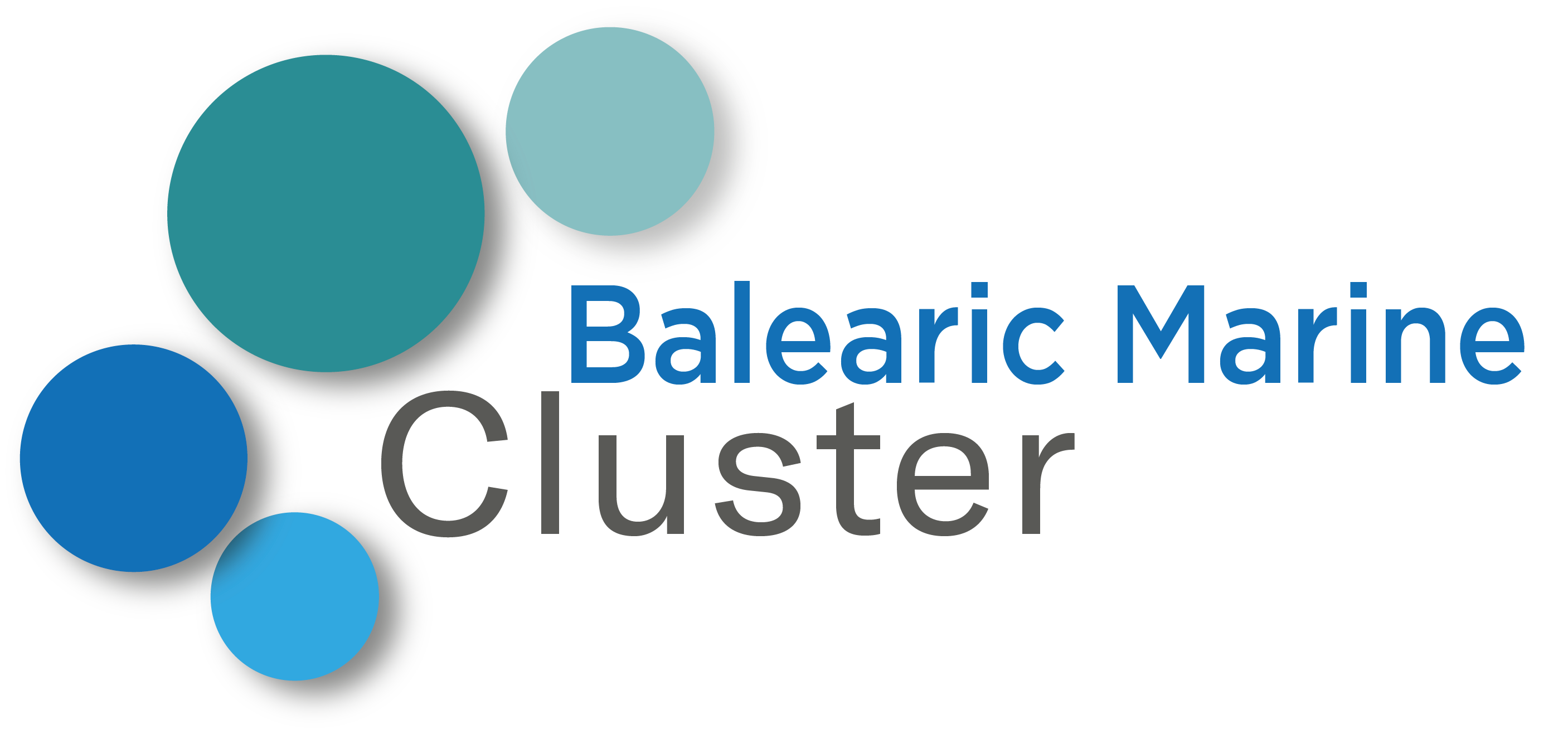 desc_logo-Cluster-Nautic.png