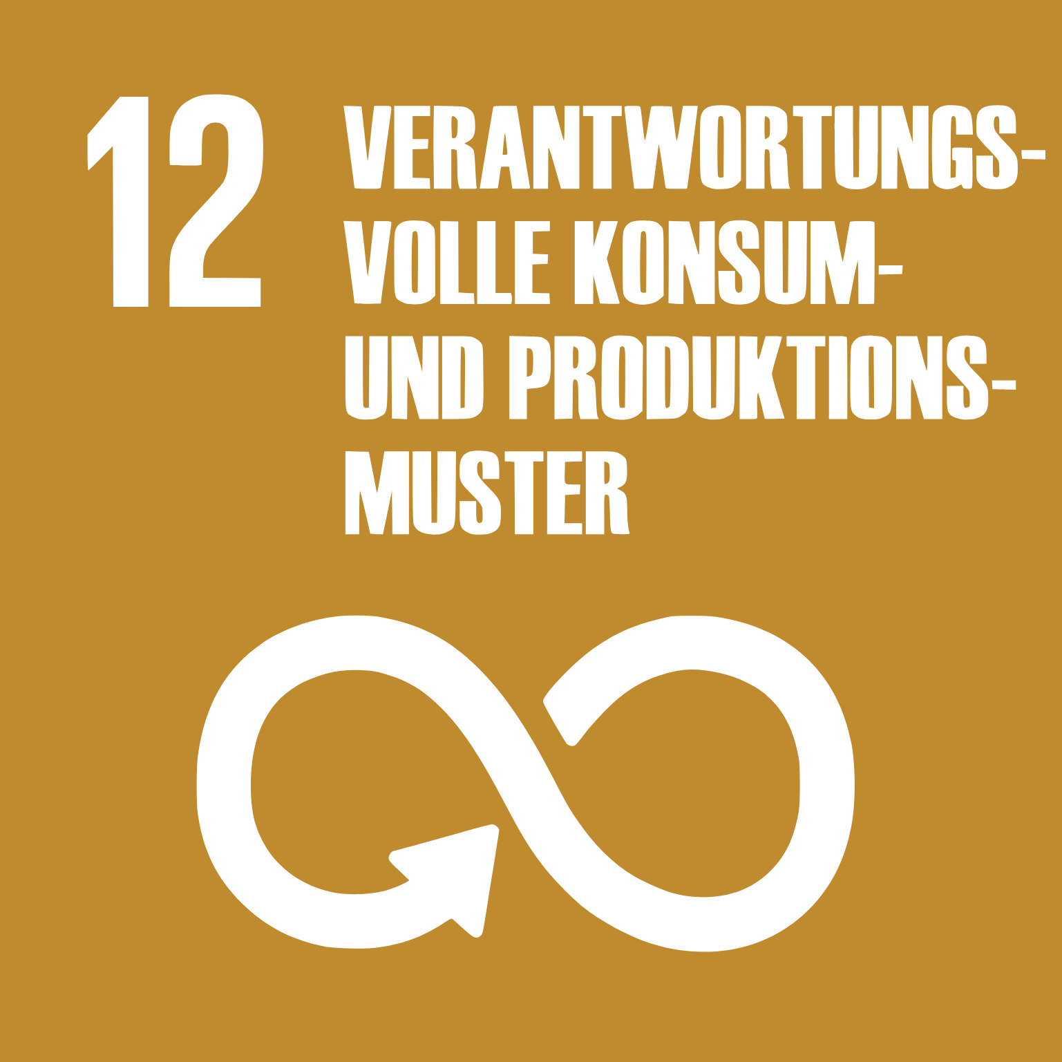 desc_12_VERANTWORTUNGS_VOLLE_KONSUM_UND_PRODUKTIONS_MUSTER.jpg