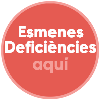desc_Esmenes_Deficiencies_CAT.png
