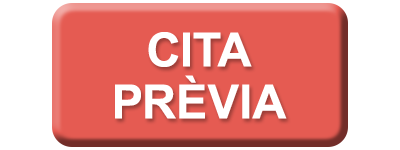 BOTO_CITA_PREVIA_CAT.png