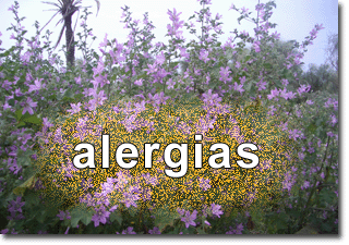 ban_alergias.gif