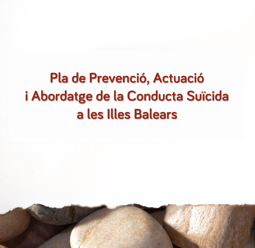 plan de prevenci&oacute;n