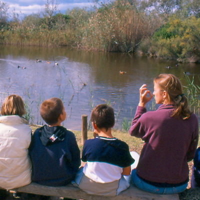 diapos0167.jpg