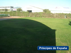 annex4