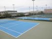 Tenis greenset