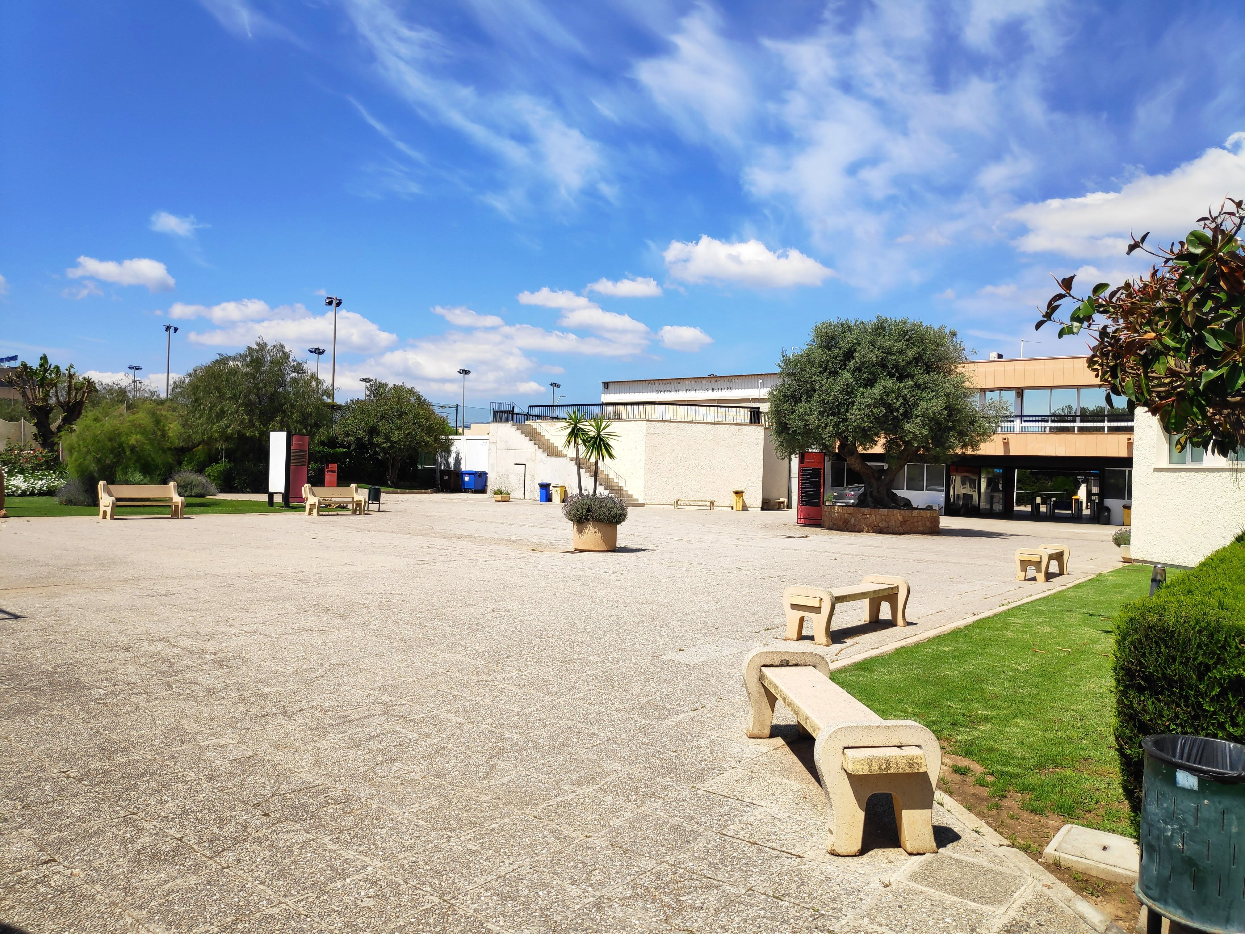 desc_olivense  2021 web.jpg