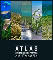 atltas.jpg