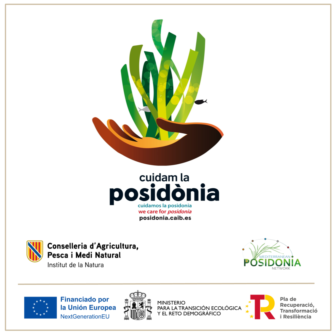 posidonia_FENG.png