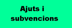 Ajuts i subvencions 30 81 309 121.jpg