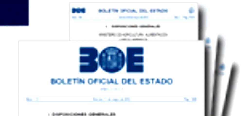 foto_boe.gif