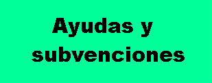 Ayudas y subvenciones 30 81 309 121.jpg