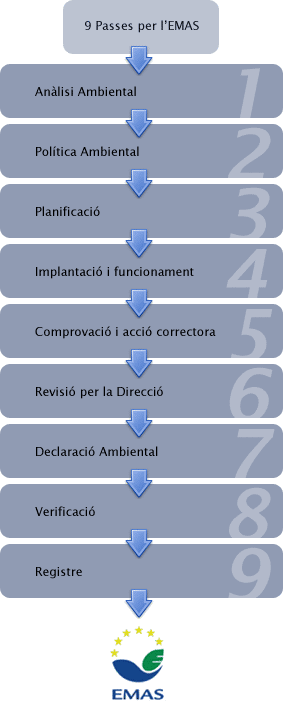 Passes per a la implantació d'EMAS a les organitzacions.