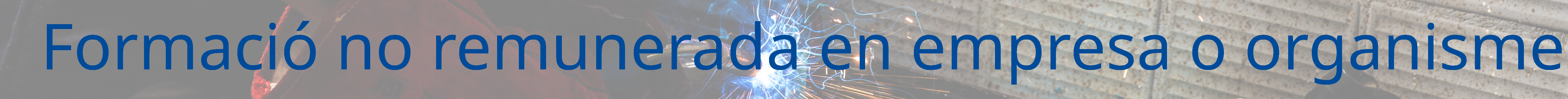 Formaci&oacute; en empresa o organisme no remunerada