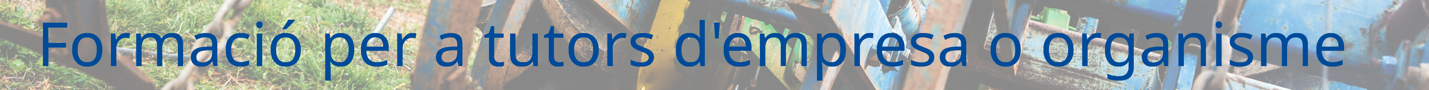 Formaci&oacute; per a tutors d'empresa