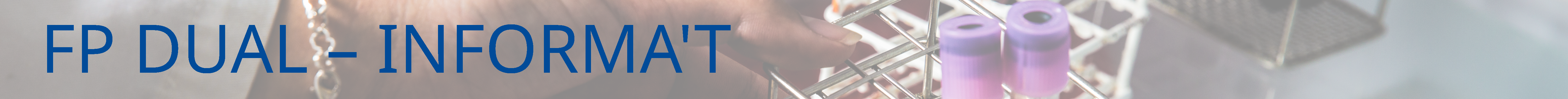 FP DUAL &ndash; INFORMA'T