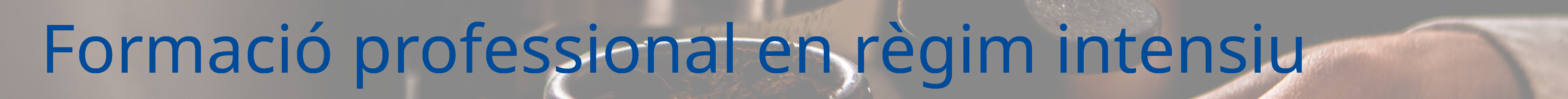 Formaci&oacute; Professional en r&egrave;gim intensiu