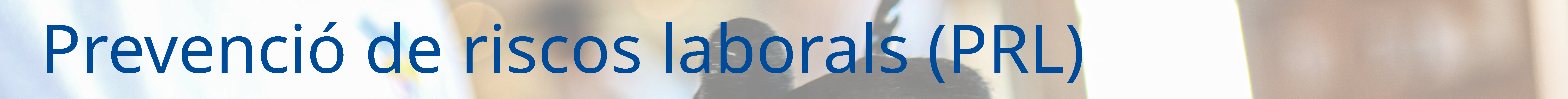 Prevenci&oacute; de Riscos Laborals (PRL)