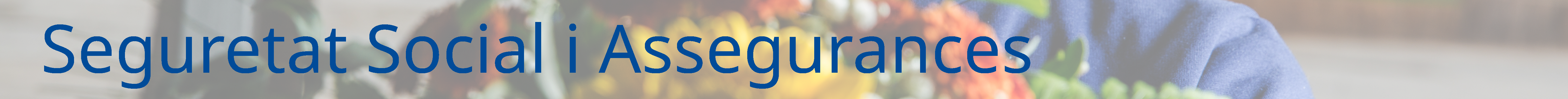 Seguretat Social i Assegurances