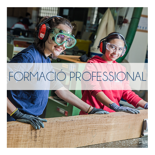 ESCOLARITZACI&Oacute; FP