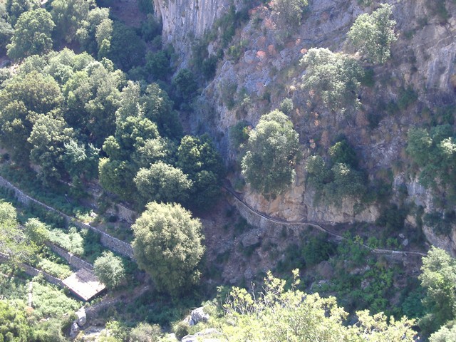 4. Hort Lavanor.JPG