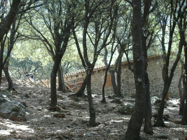 8. Voltants de son Moragues.JPG