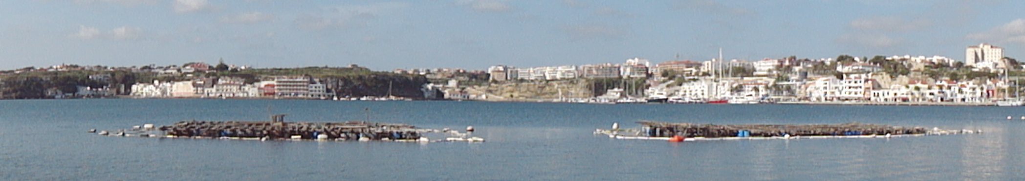Panoràmica de dues muscleres al port de Maó