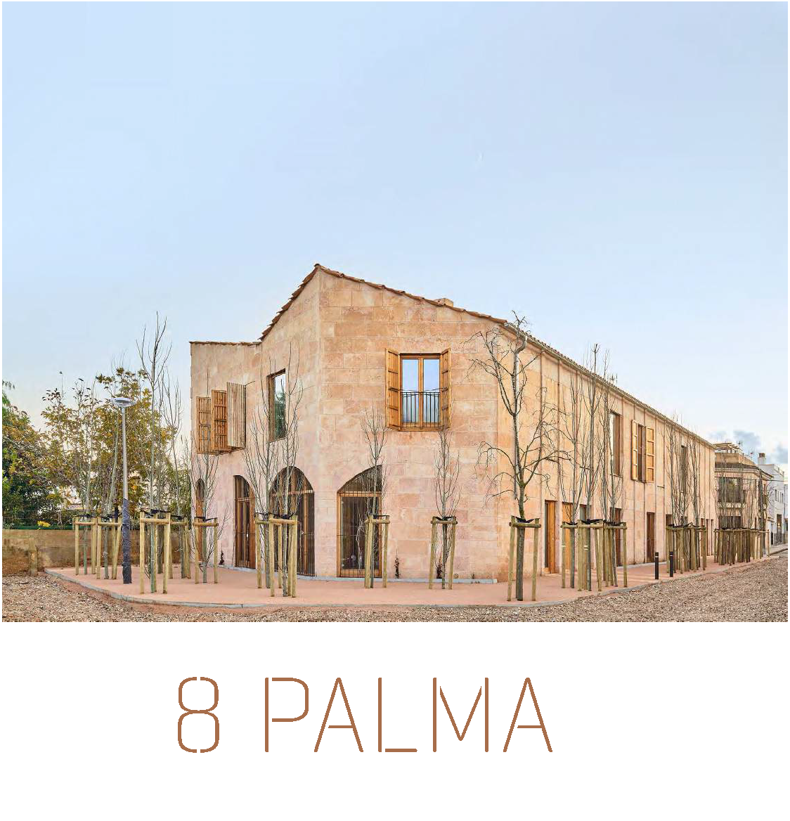 INICI_8_PALMA_IMG.png