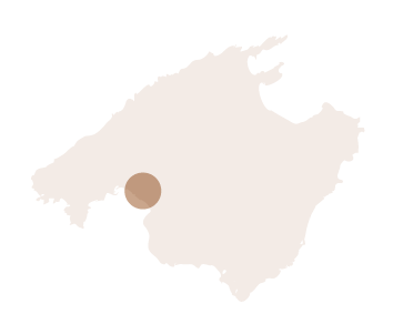 LOCALIZACION_MALLORCA.PNG