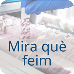 Què feim