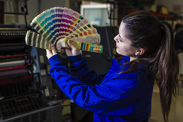 Graus D - Cicles formatius de grau bàsic