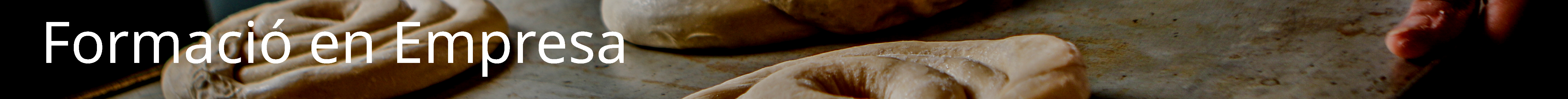 Formaci&oacute; en Empresa o Organisme Equiparat (FEMPO)