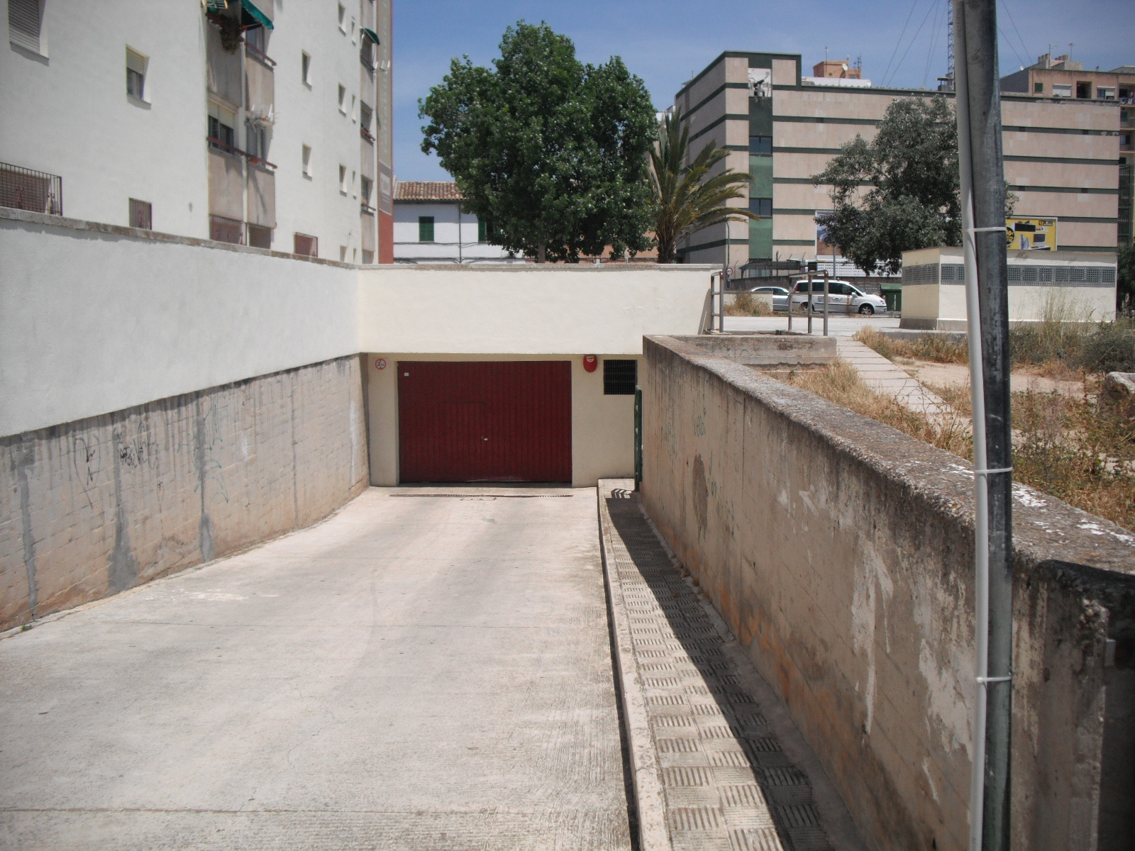 Almas 55 C.jpg