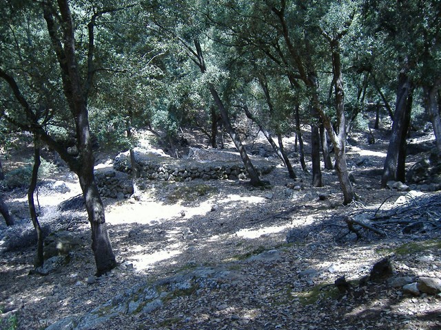 8. Voltants de son Moragues.JPG