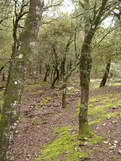 4.Voltants del refugi.JPG