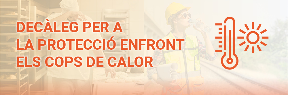 boto_web-calor-2024-cat.jpg