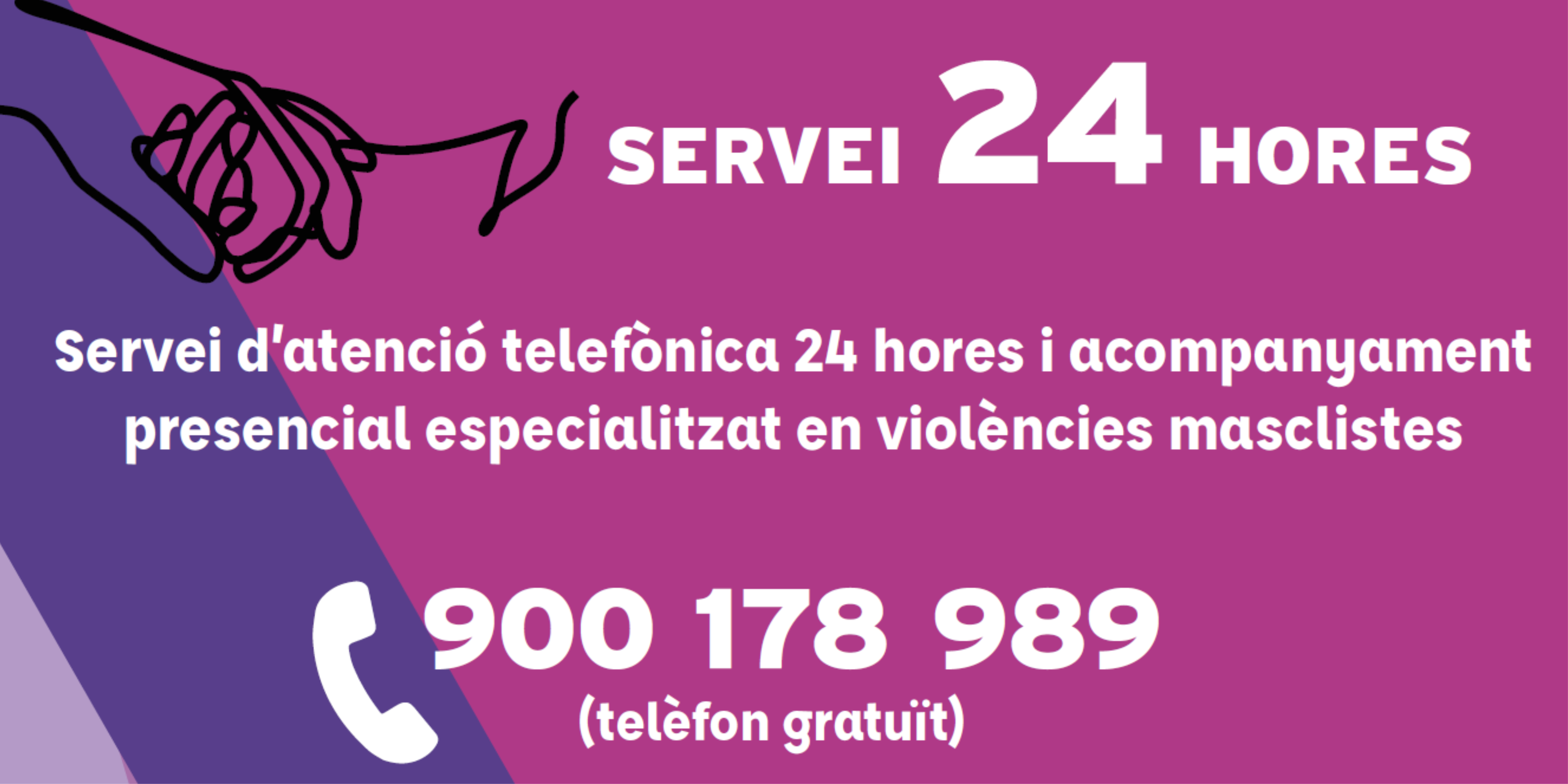 Banner_S24H_cat.png
