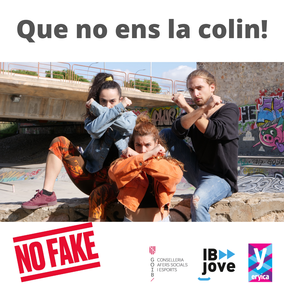 desc_Ballarins no fake insta.png