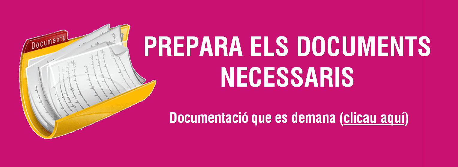 Prepara els documents.PNG